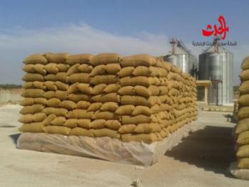 12 مليون يورو ضائعة من كلفة مستوردات القمح