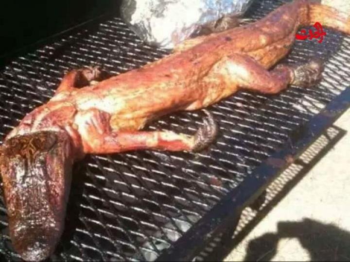 طعام لا نقبله  بالصور