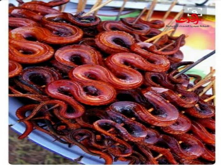 طعام لا نقبله  بالصور