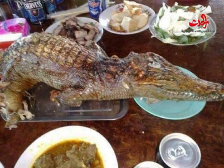 طعام لا نقبله  بالصور