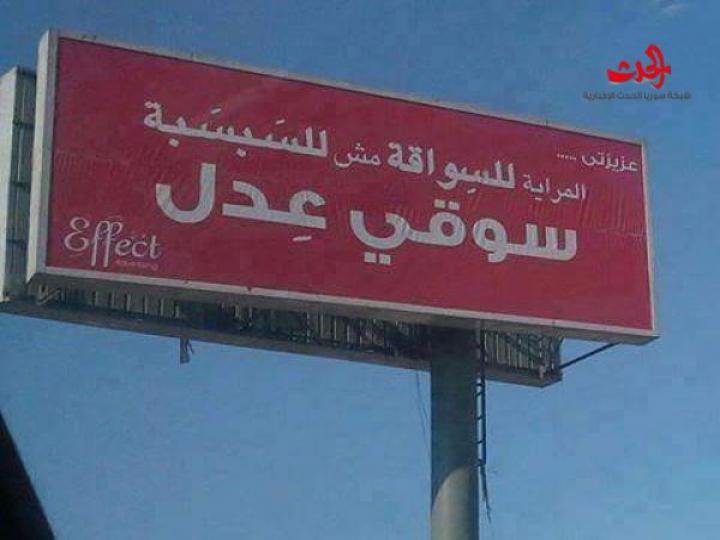 فقط في مصر