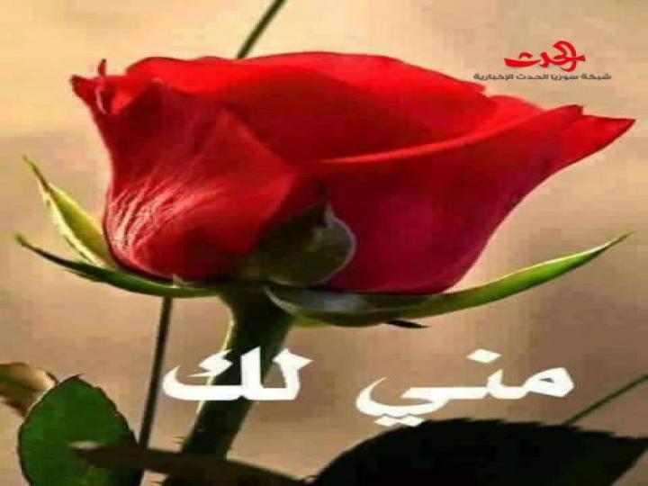 الاديب رياض طبرة(لأنك ملهمتي)