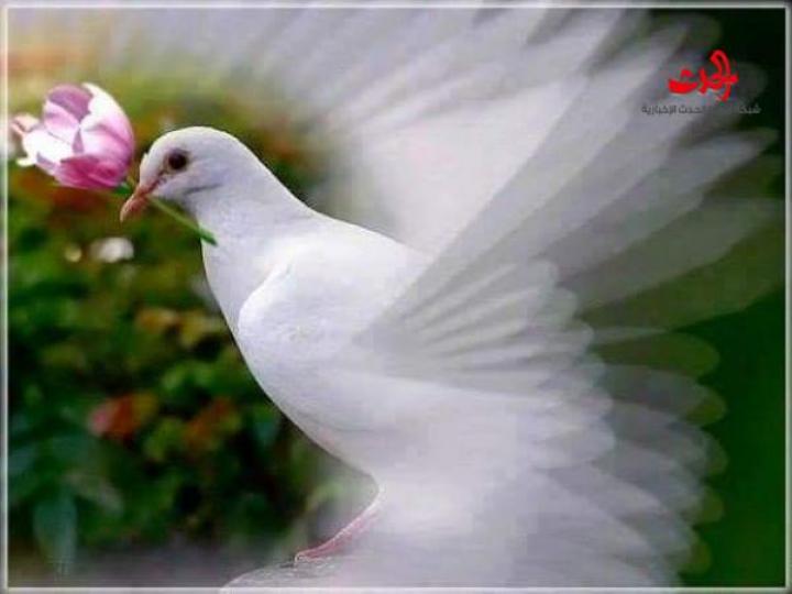 من وحي السبت