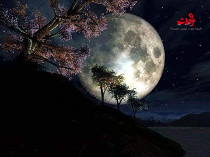 كراهبة خرفة ... آمال محمود