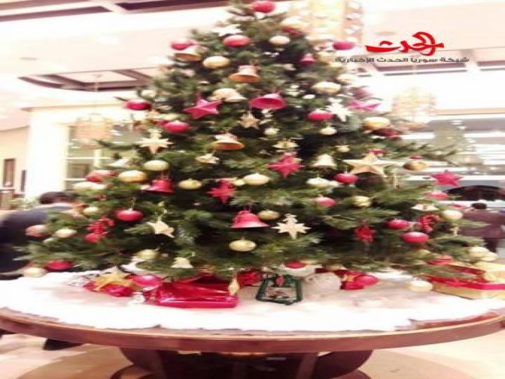 إضاءة شجرة الميلاد بمنتجع أفاميا السياحي على أمل أن يعم السلام والمحبة كافة أرجاء سورية