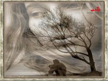 إلى شهريار ... آمال محمود