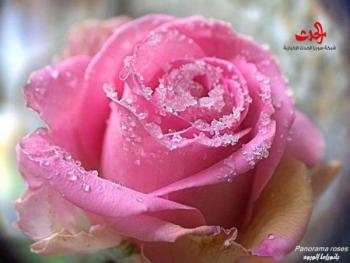 شيء ما أكبر مني