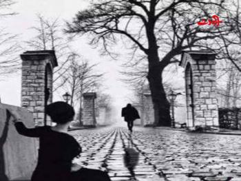 تراتيل من غبابات الضباب