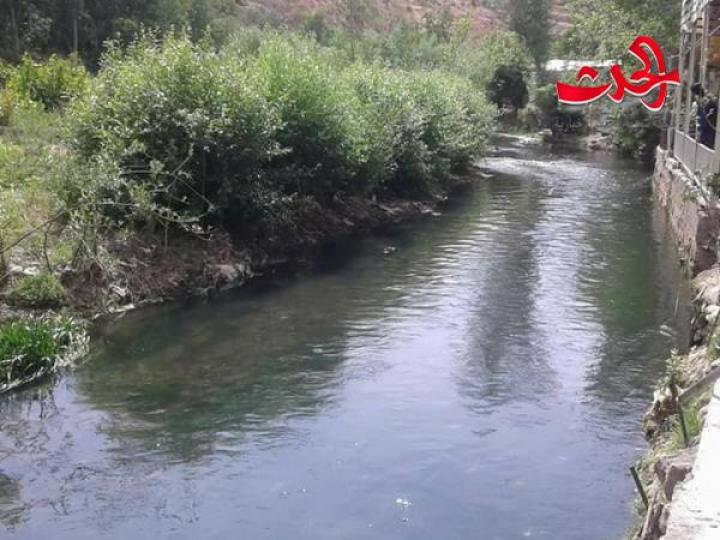 بردى الى الحياة من جديد 