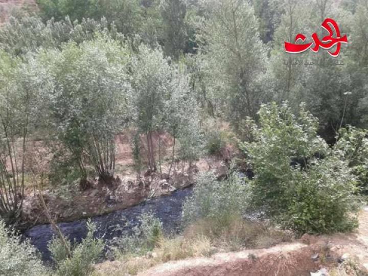 بردى الى الحياة من جديد 