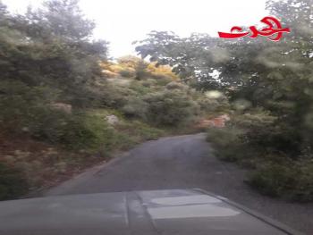 طال انتظار الغسق  /  بقلم نداء قرحيلي