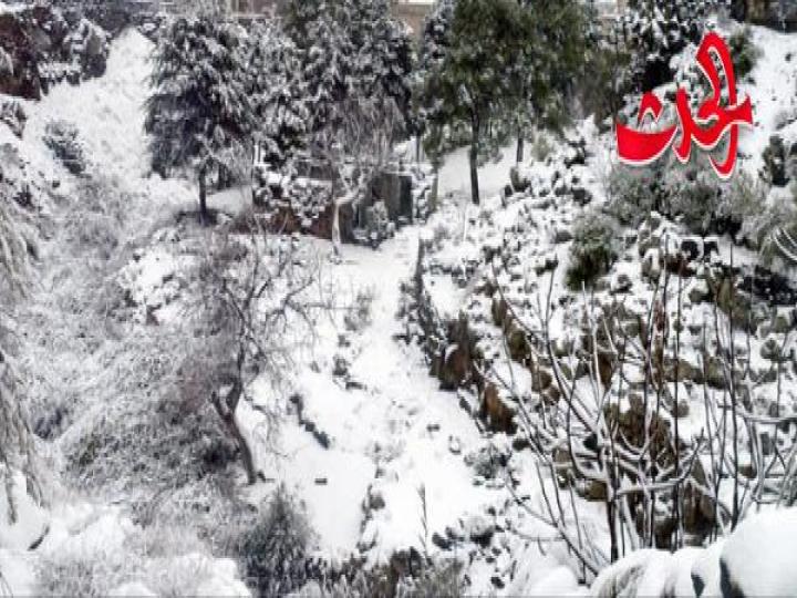 ذروة المنخفض القطبي غداً