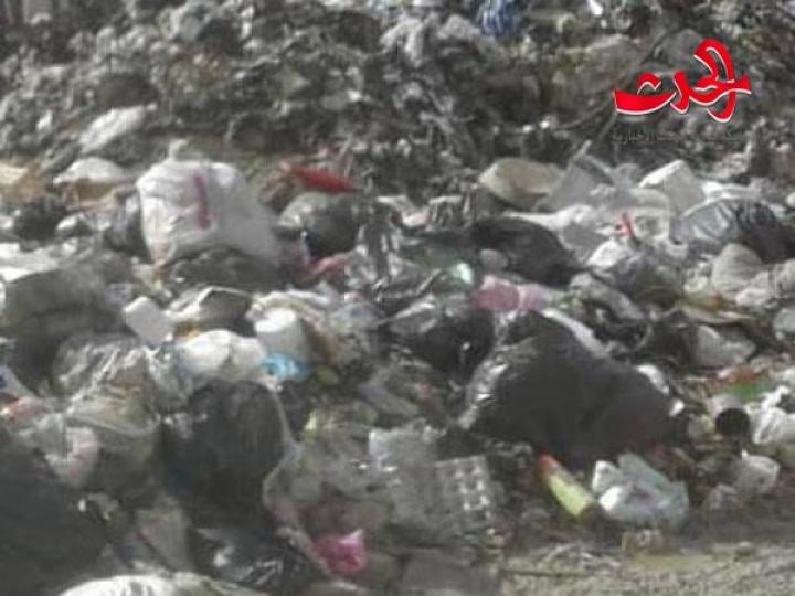 في المعضمية أكوام القمامة تطوف والحشرات والقوارض تنتشر!