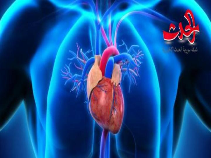 باحثون يكشفون لماذا لا يصاب القلب بـ أمراض السرطان !