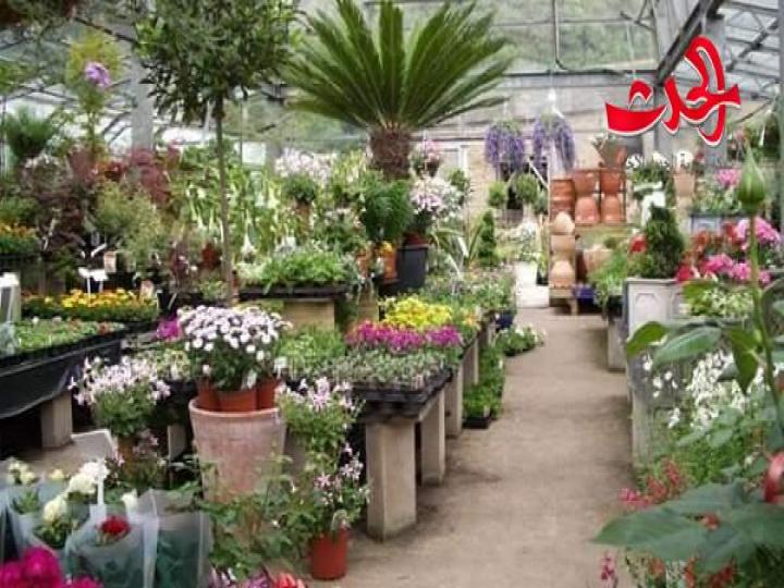 9 دول و60 جناح محلي في معرض الزهور التفاصيل الكاملة