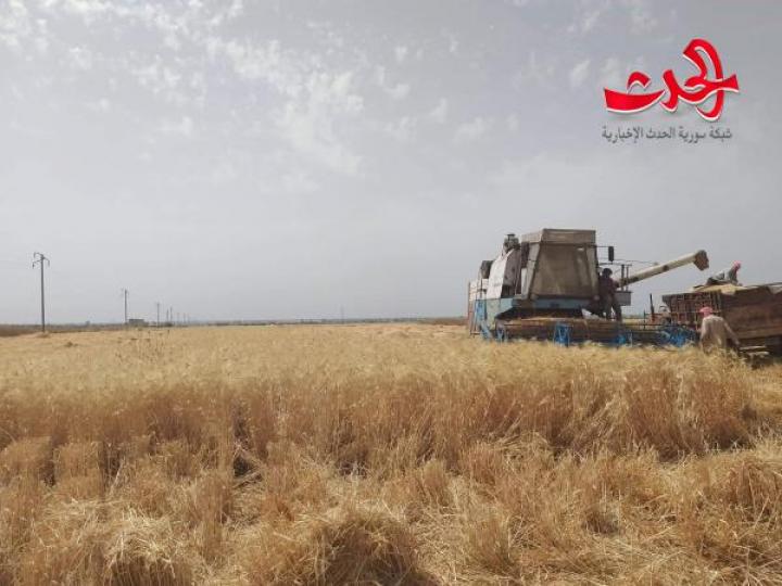 بتوجيه من الرئيس الأسد خميس يزور  ريف محافظة حماة للاطلاع على عمليات حصاد موسم القمح والاطمئنان على سير تسويق المحصول