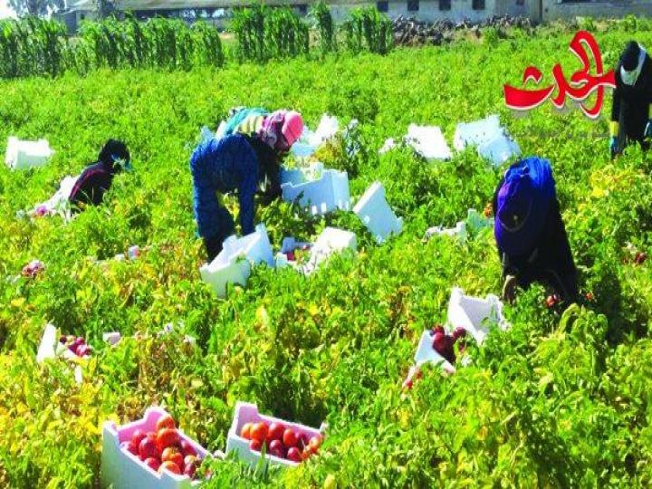 درعا تسترجع خضارها وعافيتها وتتجاوز آثار السنوات العجاف