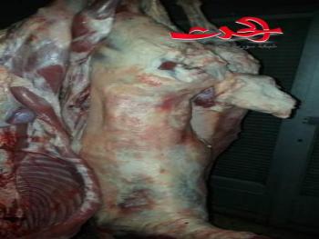 ضبط مسلخ سري في حماة 