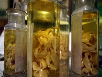 "الدودة الشريطية" تعيش داخلك ؟