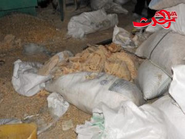 ضبط سيارتين محملتين بـ 8 أطنان من الخبز معدة للاستخدام كأعلاف