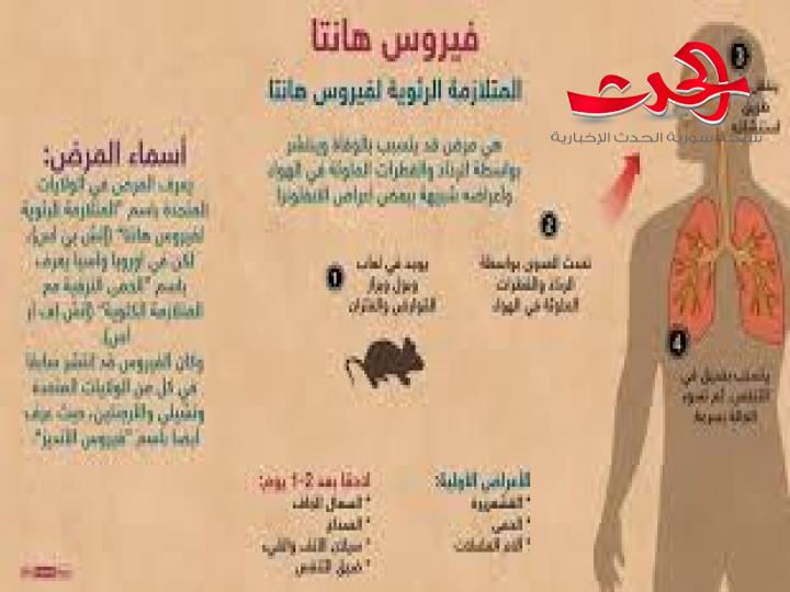 ماذا تعرف عن فيروس هانتا الذي اعلنت الصين وفاة شخص به وما هي اعراضه؟