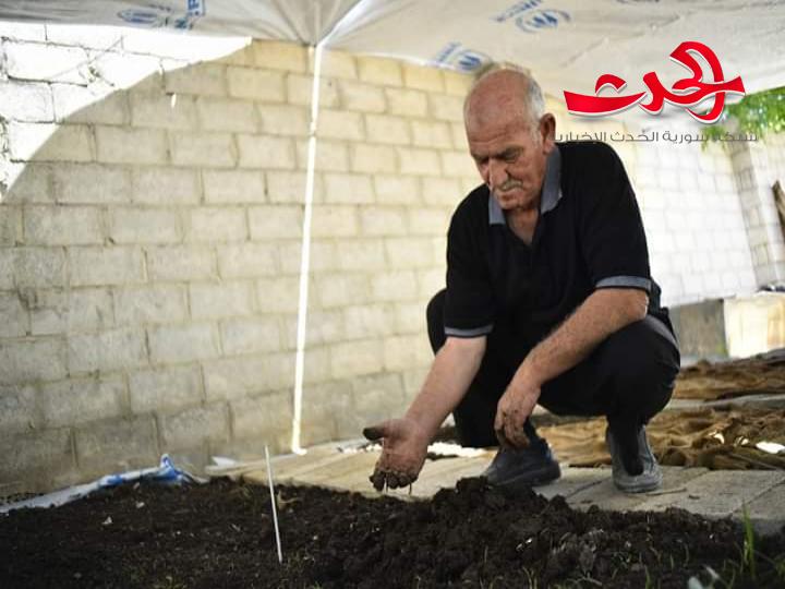 اول مزرعة دود في سورية تدر على صاحبها ١٣ مليون ليرة شهريا