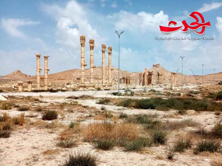 بقيمة ٢٤ مليون ليرة سورية.. إنجاز المرحلة الثانية من مشروع صيانة وتأهيل الإنارة في المنطقة الأثرية بتدمر