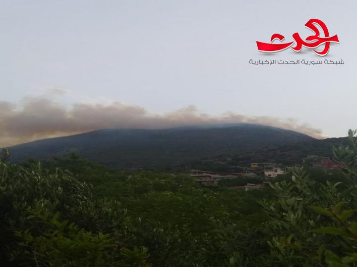 حراج دير ماما في مصياف تتعرض لحريق كبير 