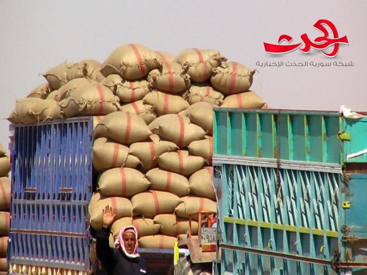 رئيس اتحاد الفلاحين: خلال اربعة أيام استلام اسعار القمح المسلمة للدولة