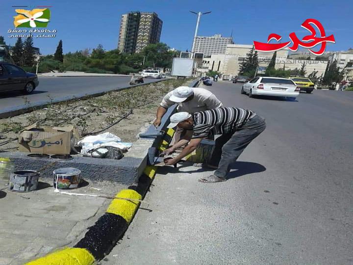 إعادة تأهيل منصف الياسمين وإزالة الأشجار المتضررة في مدخل مشروع دمر