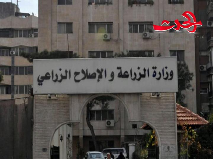 مليارا ليرة لدعم للأعلاف وإكثار البذار من بداية العام