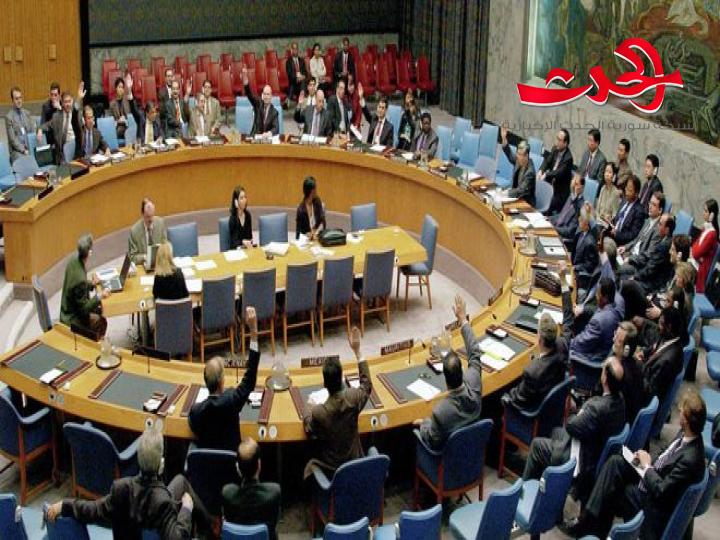 مجلس الأمن يصوت ضد مشروع قرار روسي حول إيصال المساعدات الإنسانية إلى سورية