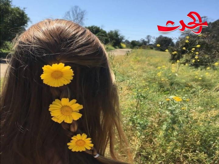 الكاتبة لبنى يوسف