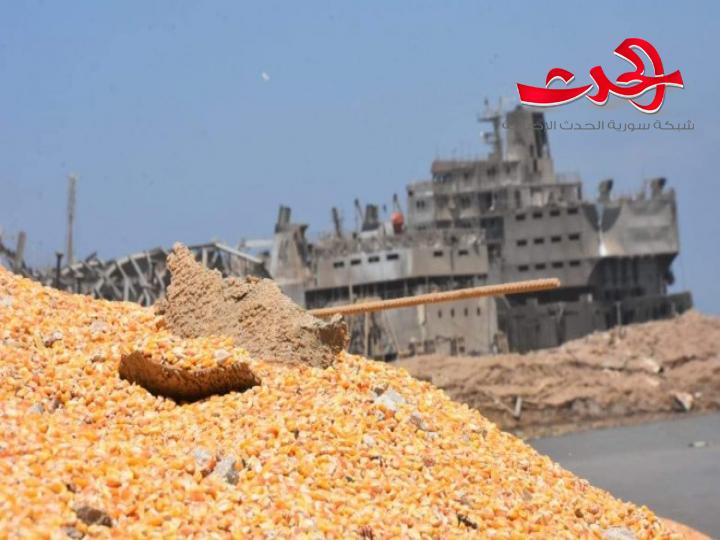مدير «الحبوب»: لا تأثير لانفجار مرفأ بيروت على استيراد القمح في سورية