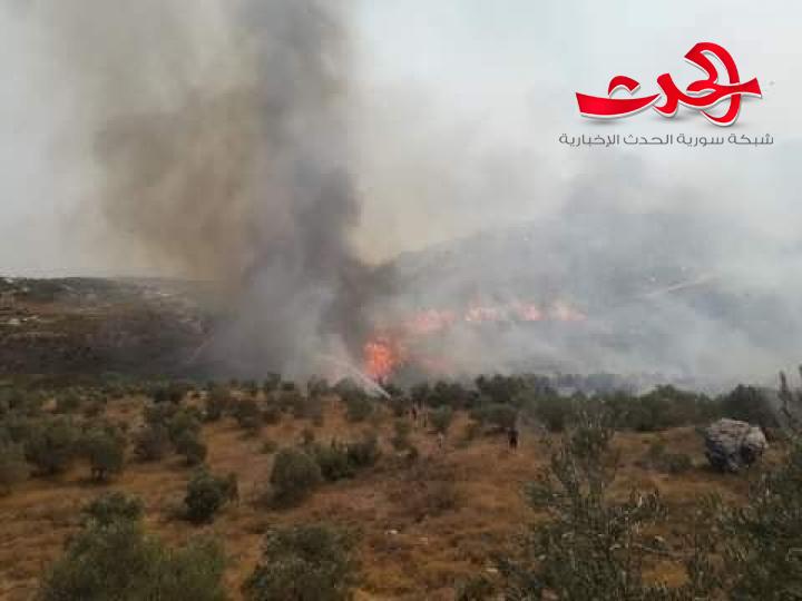 إخماد حريقين كبيرين و العمل على إطفاء حريق ثالث في وادي النضارى بحمص