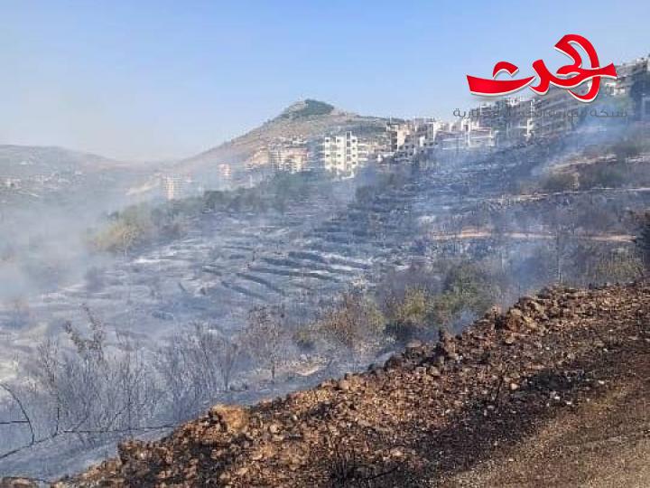 محافظ طرطوس: 3972 أسرة تضررت بشكل مباشر والحرائق طالت أكثر من نصف مليون شجرة