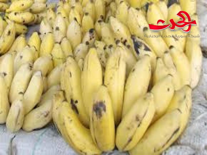 معتز السواح: قريبا الموز سينخفض الى 800 ليرة سورية خلال شهر