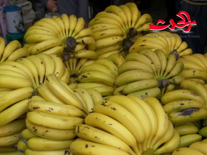 محمح: الموز لا يباع بسعره الطبيعي ومستورده يخسر