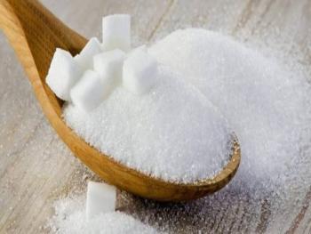 كيلو السكر يصل إلى 700 و زراعة الشوندر متوقفة حتى إشعار آخر