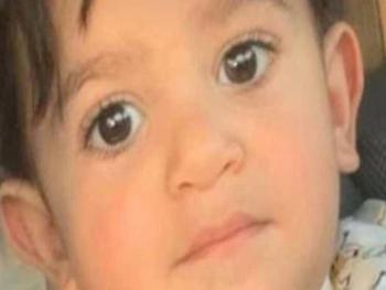 طفل في السعودية تنهشه الكلاب حتى الموت