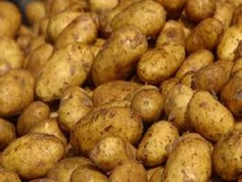 رئيس اتحاد الغرف الزراعية :قرار السماح باستيراد البطاطا خاطئ في هذه الفترة؟