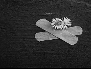 إلى أمي بقلم الكاتبة هبة راغب الصالح