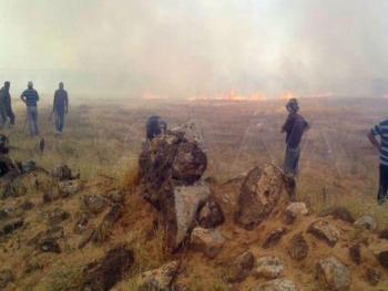 السيطرة على حريق نشب على الحدود السورية الاردنية بمساحة 3كم