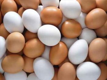 مؤسسة الدواجن تتوقع استمرار ارتفاع أسعار البيض