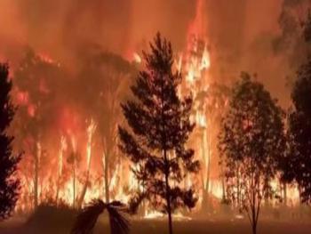 نصف مليون أمريكي يستعدون لإجلاء جماعي في أوريغون بسبب الحرائق