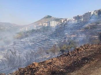محافظ طرطوس: 3972 أسرة تضررت بشكل مباشر والحرائق طالت أكثر من نصف مليون شجرة
