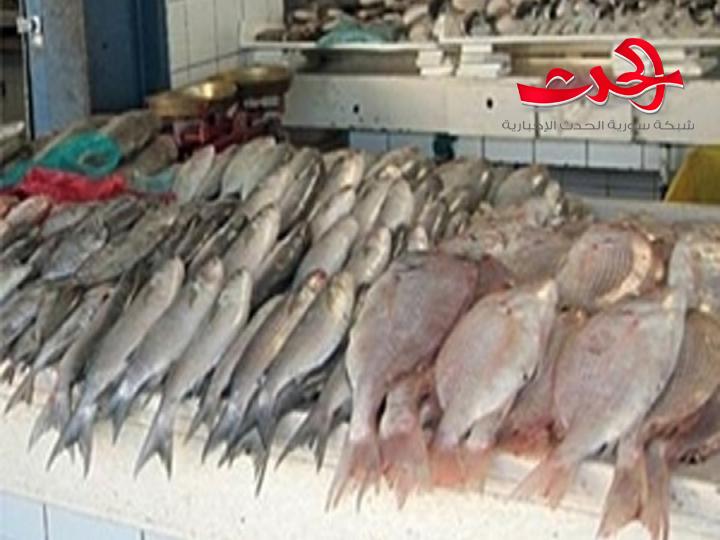 حالات تسمم بأسماك "البلميدا " في اللاذقية  