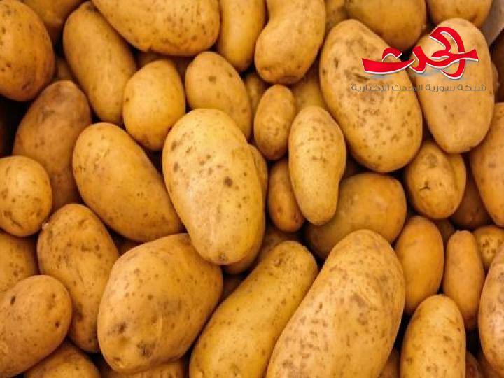 طلال حمود: المؤسسة خزّنت البطاطا وستُطرح بعد انتهاء الموسم 