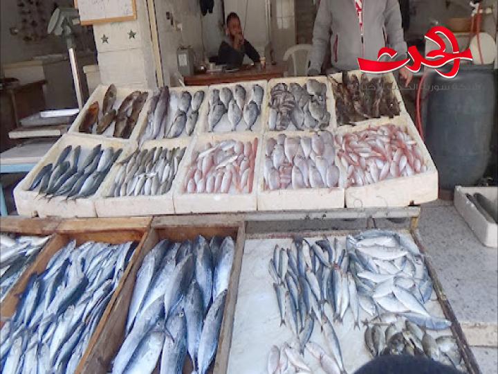 جمود غير مسبوق في سوق السمك.. والسبب حادثة تسرب الفيول 