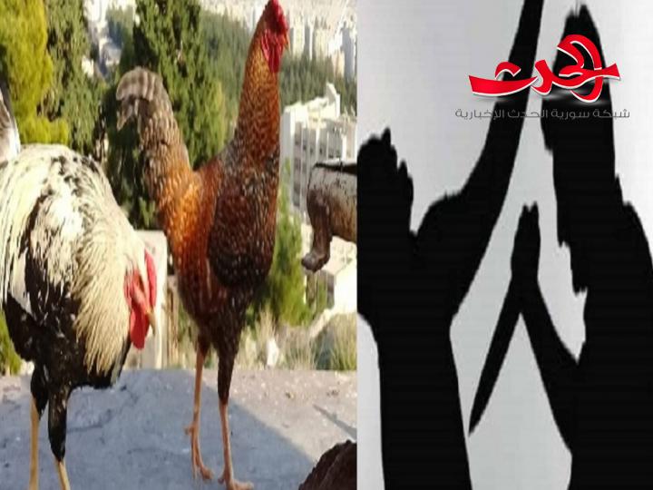 في دمشق : عم يطعن أولاد شقيقة بسكين والسبب "دجاجة"